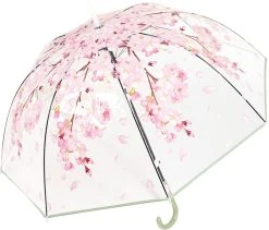 Fop En Bij Koepelparaplu - Paraplu - Doorzichtig - Voor Volwassenen - Opvouwbaar - Transparant Bloesem