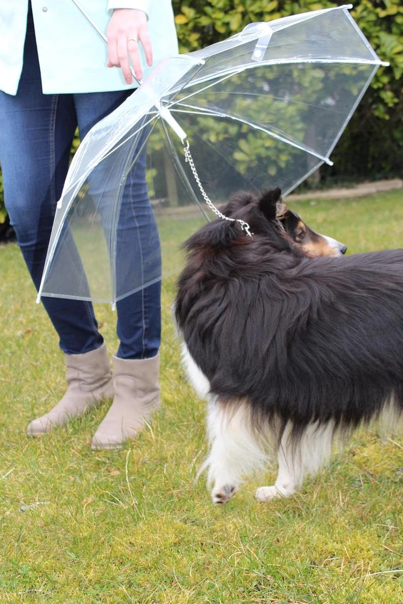 United Entertainment - Honden Paraplu - Wit 5 United Entertainment - Honden Paraplu - Wit - Afbeelding 3